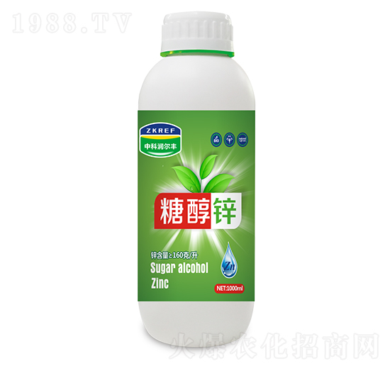 �Ǵ��\-�пƝ�(r��n)���S