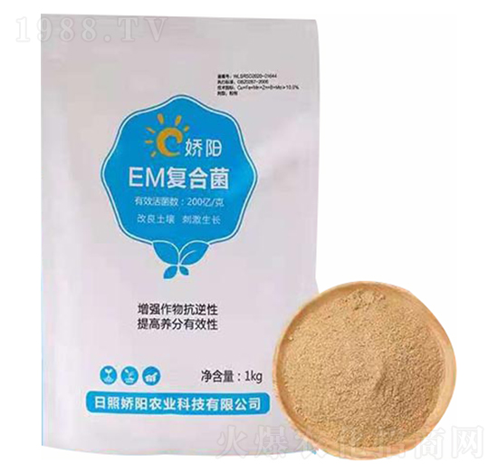 EM�ͺϾ�-���S����