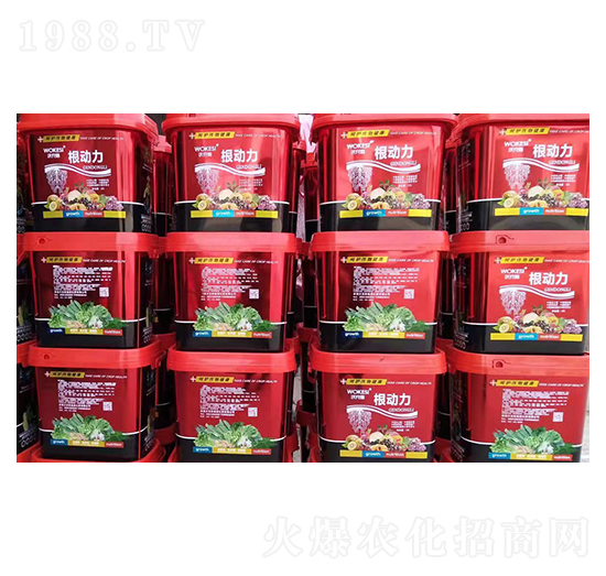 ����(d��ng)��-ǰ�طʘI(y��)