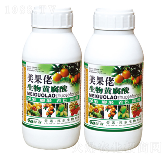 �ٻ���ѿ����-�����������S����-������