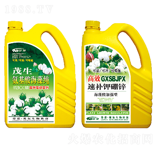 �����ả�弃+���a����\-������