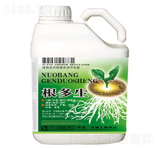 ������-������