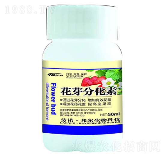 ��ѿ�ֻ���-������