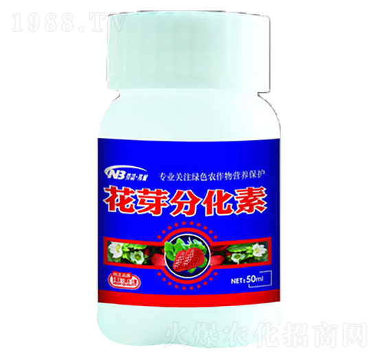 50ml��ѿ�ֻ���-������