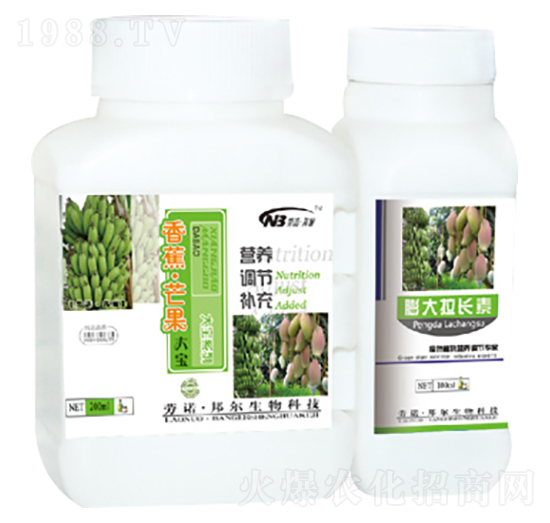 �㽶��â����+������L��-������