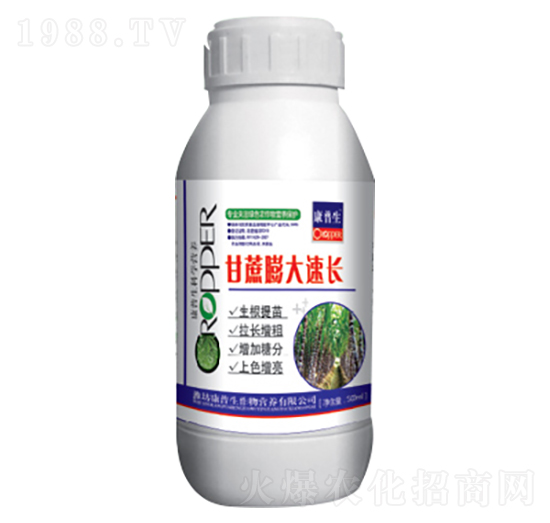 ����������L(zh��ng)-������