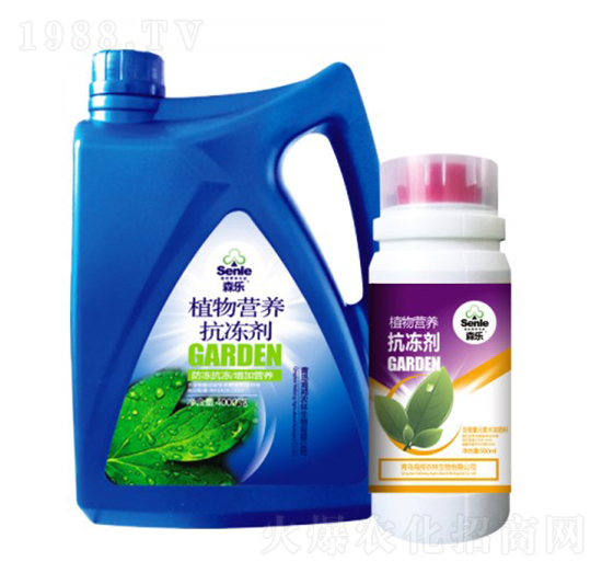 ֲ��I(y��ng)�B(y��ng)������-��᷾G��