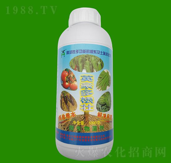 1kg�����-Ӣ��