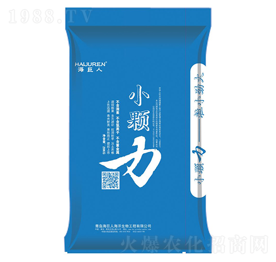 小顆力-海巨人