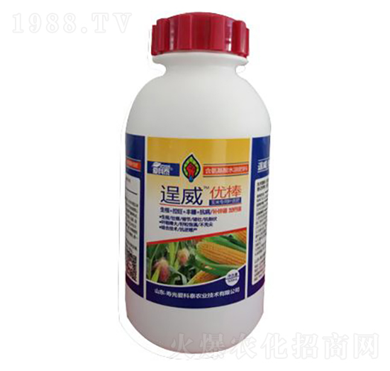 ��������~���-������(y��u)��-��(��i)��̩