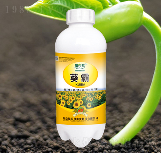 ����-����(l��)��