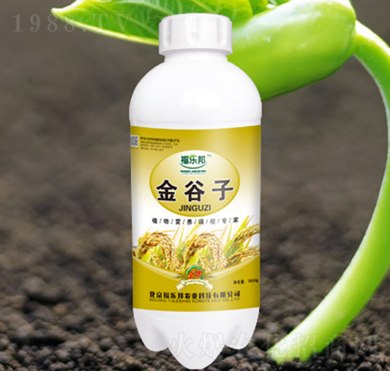 �����-����(l��)��