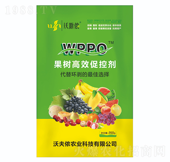 �����Ч�ٿ؄�-�ַ�z