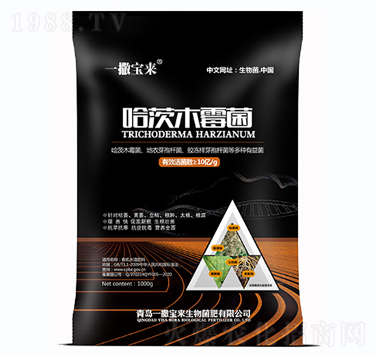 ����ľù��-һ������