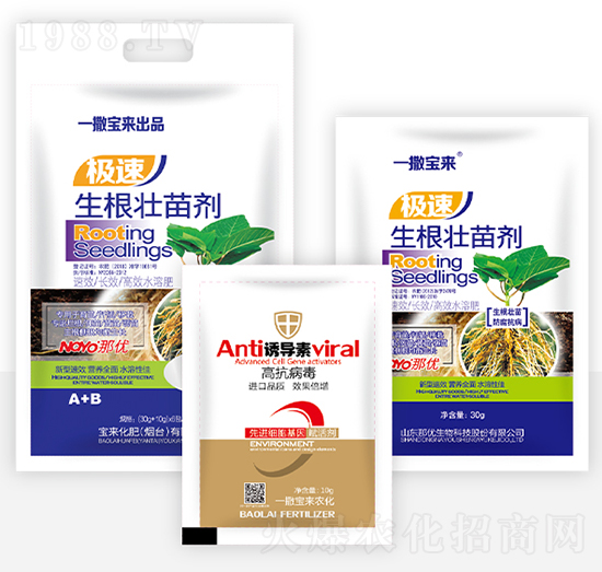 �������焩+�T����-һ������