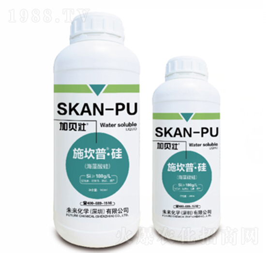 ʩ����-��-δ�����W