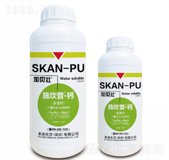 ʩ����-�}�������}��-δ�����W(xu��)