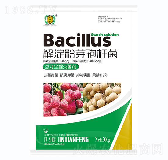 ����ȫ�̿˾���-�����S