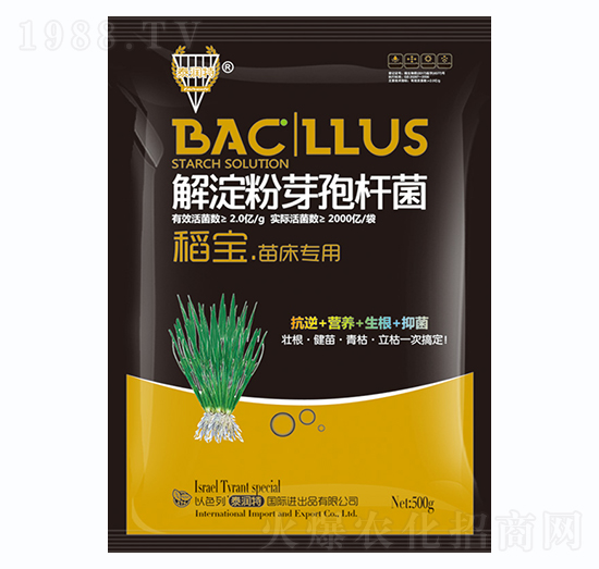 �����ѿ�ߗU��-�������紲����-�����S