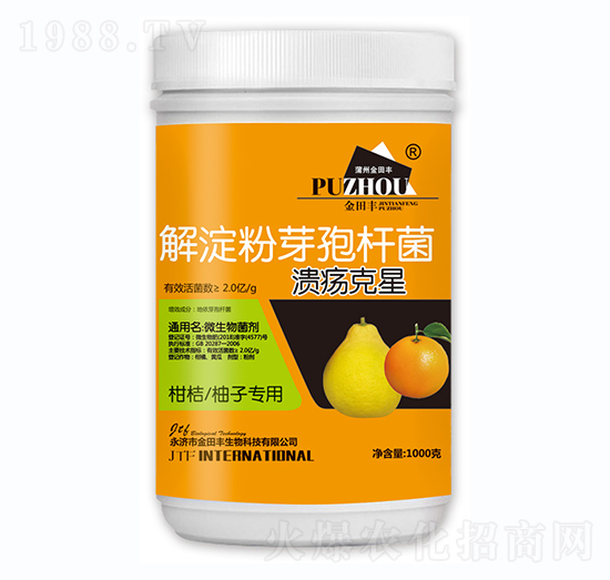 �����ѿ�ߗU��-��������-�����S