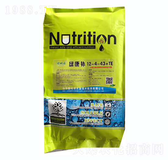 �G���a12-4-43+TE-�G�؈@