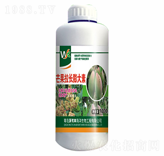 芒果拉長(zhǎng)膨大素-沃可豐