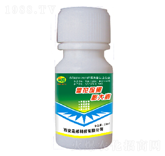 �߻����������-�ɰ�����