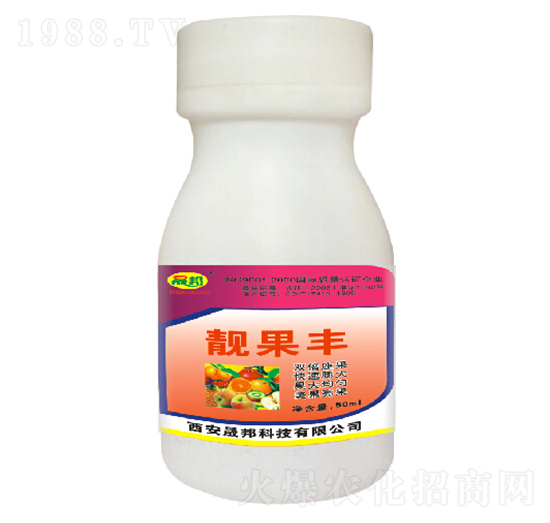 �n���S-�ɰ�����