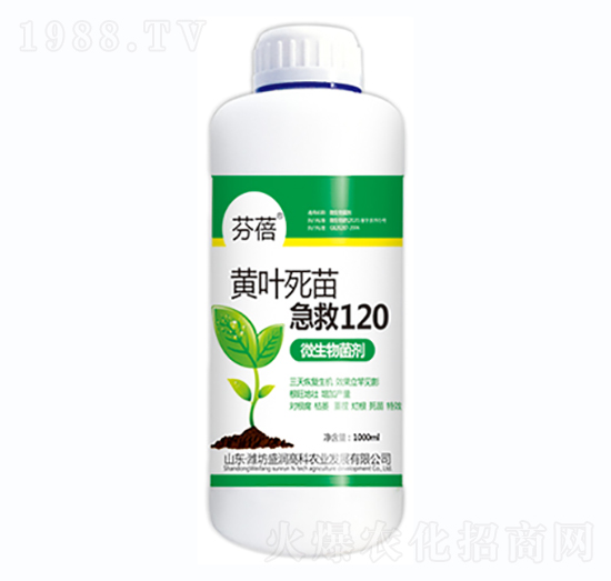黃葉死苗急救120-芬蓓-盛潤(rùn)高科