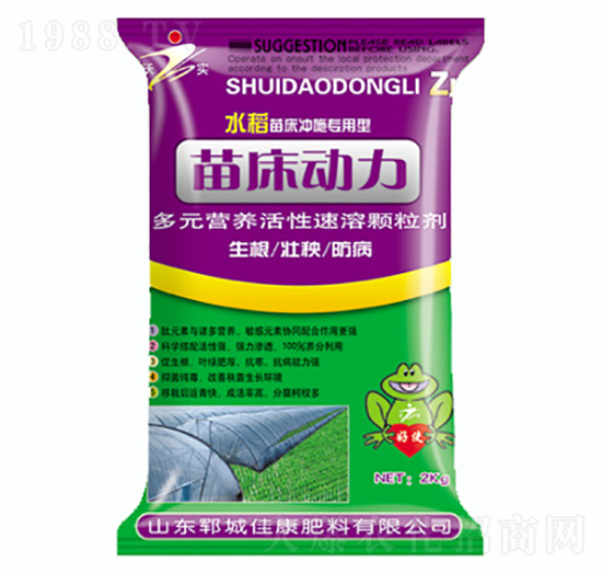 �紲����-�ѿ�