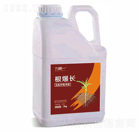 根爆長(zhǎng)-九稼一
