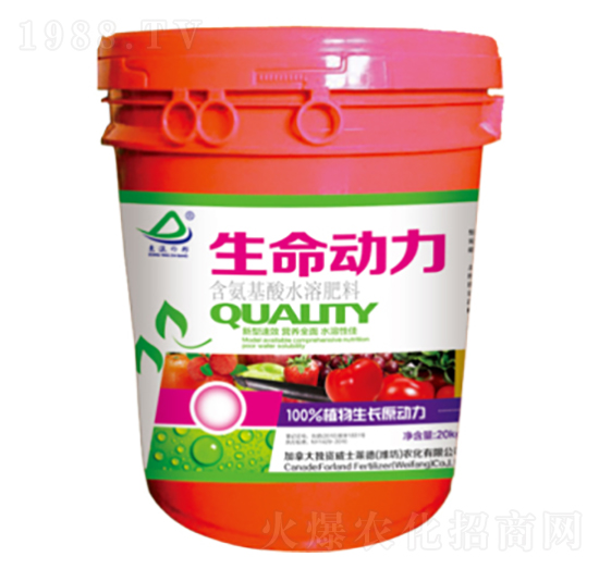 ������(d��ng)��-�G��-��ʿ�R��