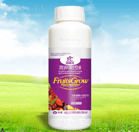 500�˸�����}�\-������