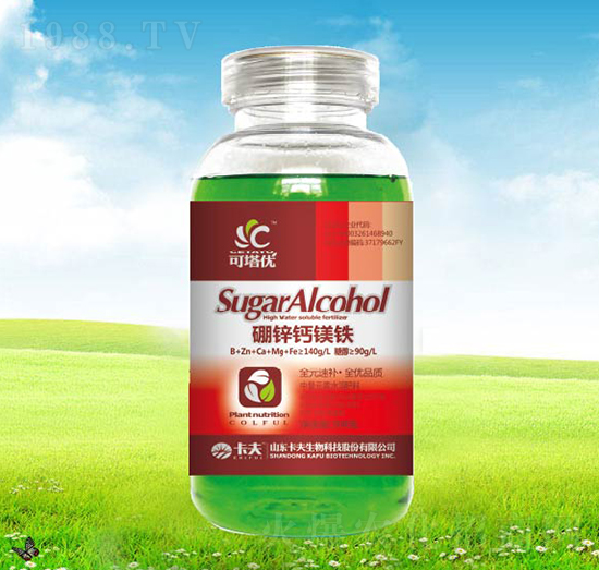 300�����\�}�V�F-������(y��u)-����