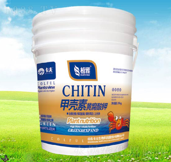 �ך����S�����-ֲ��-����