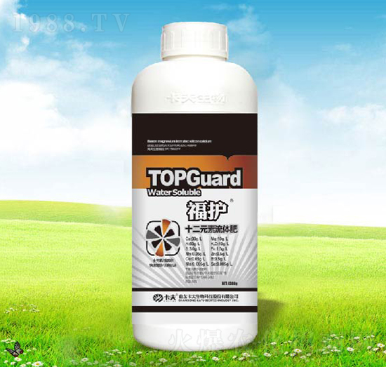 ���o(h��)ʮ��Ԫ�����w��-����