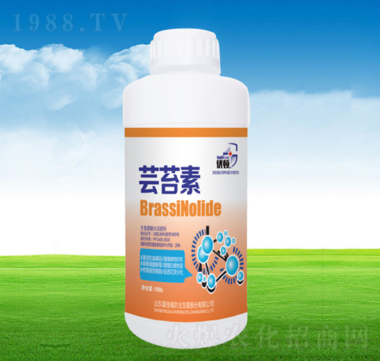 �|̦��-�μѸ�