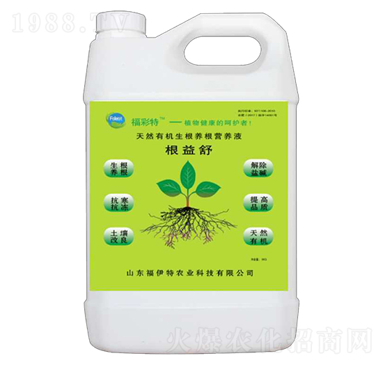 ������-������-������