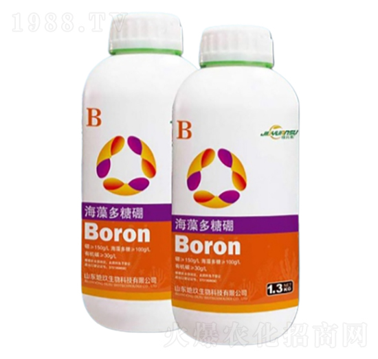 ���������-�ؾ�����