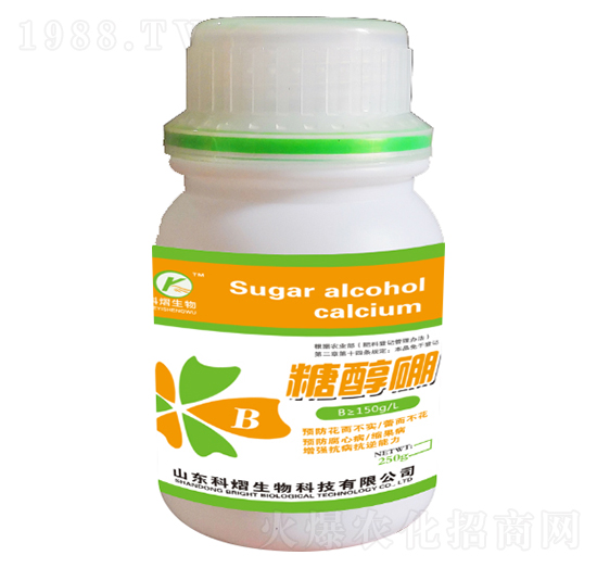 �Ǵ���-��������