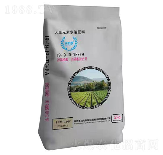 ��ֲ�ả����ͺ��ʹ���Ԫ��ˮ�ܷ�19-19-19+TE+FA-�S��