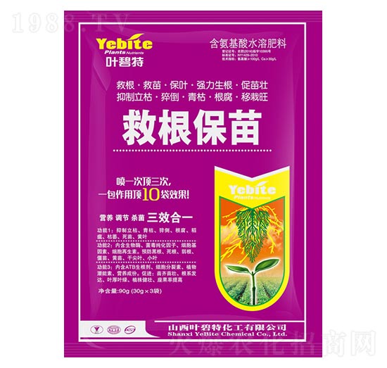 �ȸ�����-�~����