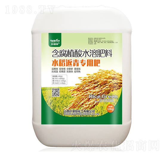 水稻返青專(zhuān)用肥-葉碧特