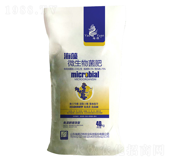 ����΢�������-���w�~��