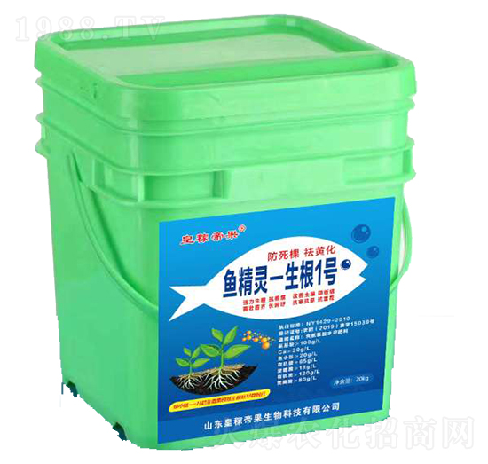 �~���`-����1̖(h��o)-�ʼڵ۹�