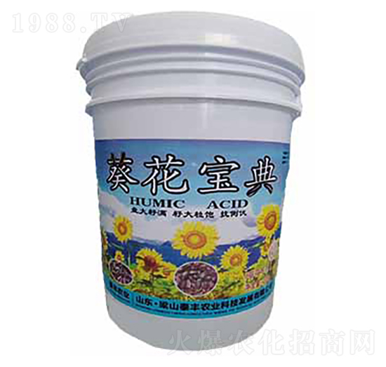 ��������-��ɽ̩�S