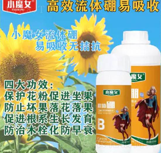 ���w��-СħŮ-���н�