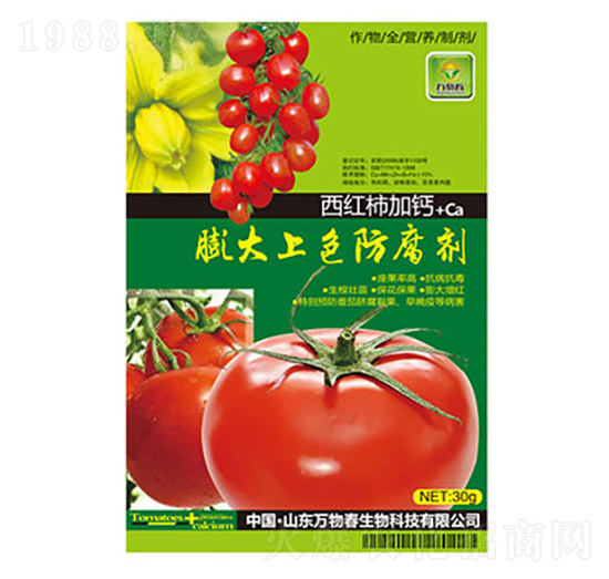 ���t�����}�����ɫ������-�f(w��n)�ﴺ