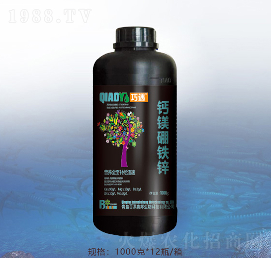 �}�V���F�\-�ٝ�(r��n)�ݰ�