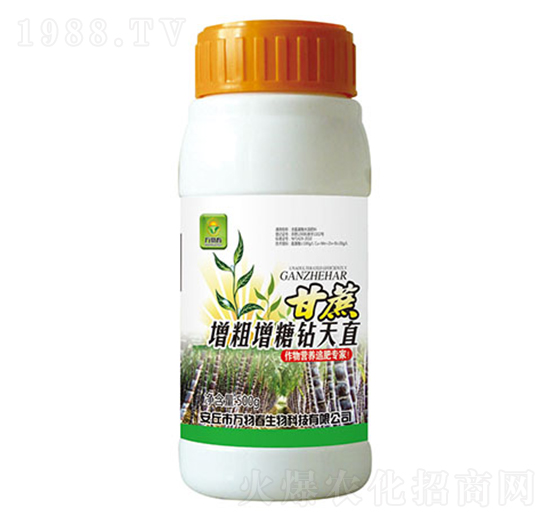 �������������@��ֱ-�f�ﴺ